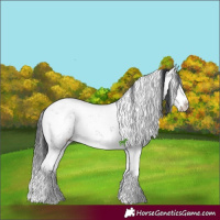 Horse Color:Brown Chinchilla Mushroom Sabino