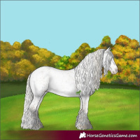 Horse Color:Liver Red Dun Ice Onyx Mushroom Sabino Brindle 