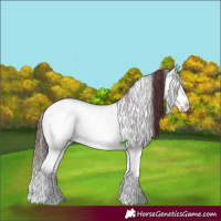 Horse Color:Chocolate Bay Ice Onyx Mushroom Sabino Splash 