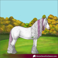 Horse Color:Watercolor Red Onyx Ice Sabino Brindle 