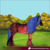 Horse Color:ERROR: UNKNOWN ANOMALY