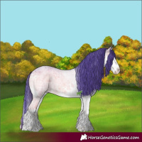 Horse Color:Watercolor White Spotted Brown Ice Roan Onyx Splash Brindle 