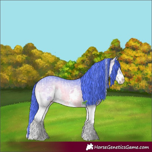 Horse Color:Watercolor White Spotted Chocolate Bay Chinchilla Ice Onyx Mushroom Sabino Splash 