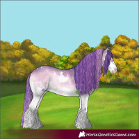 Horse Color:Painted Watercolor White Spotted Brown Onyx Splash Tobiano 