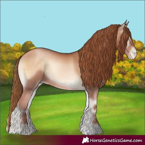 Horse Color:Red Onyx Pearl Rabicano