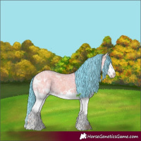 Horse Color:Watercolor White Spotted Grullo Ice Onyx Splash