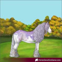Horse Color:Watercolor Silver Bay Ice Onyx Sabino Splash 