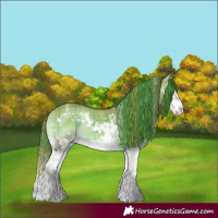 Horse Color:Watercolor Plaid White Spotted Brown Onyx Splash Tobiano