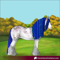 Horse Color:Painted White Spotted Bay Ice Roan Onyx Splash