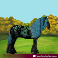 Horse Color:ERROR: UNKNOWN ANOMALY