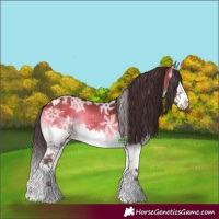 Horse Color:White Spotted Brown Ice Onyx Splash 