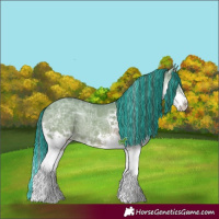 Horse Color:Painted Watercolor White Spotted Grullo Ice Splash 
