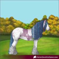 Horse Color:Gray Painted Grullo Splash Tobiano Blanket 
