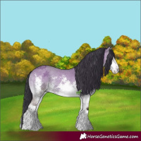 Horse Color:White Spotted Grullo Onyx Sabino