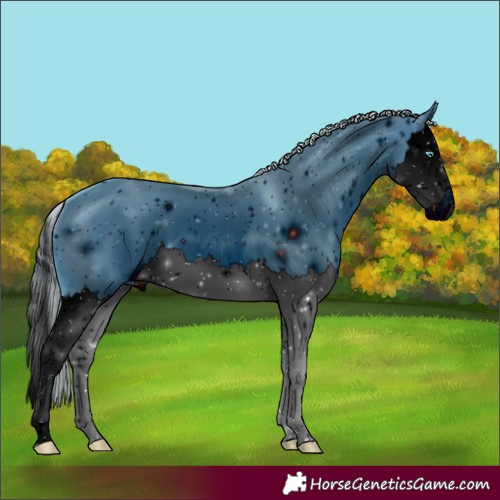 Horse Color:ERROR: UNKNOWN ANOMALY