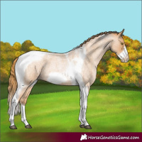 Horse Color:Red Roan Pearl Tobiano Frame