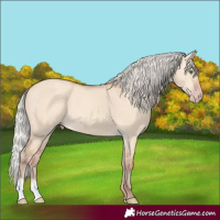 Horse Color:Silver Amber Champagne Dun 