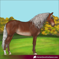Horse Color:Silver Brown 
