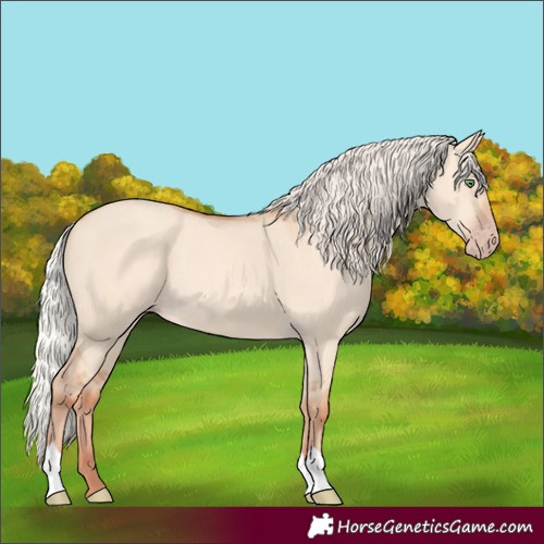 Horse Color:Silver Classic Champagne Dun