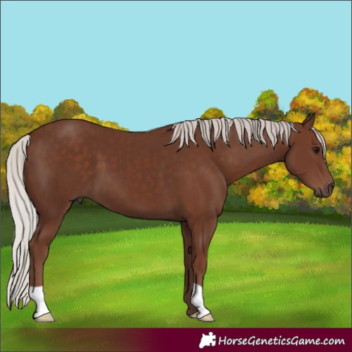 Horse Color:Silver Black 