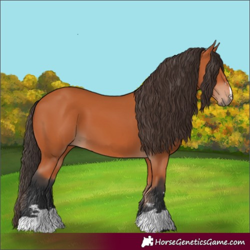 Horse Color:Unknown 