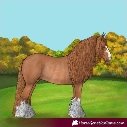 Horse Color:Chestnut Rabicano 