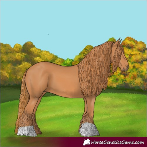 Horse Color:Chestnut 