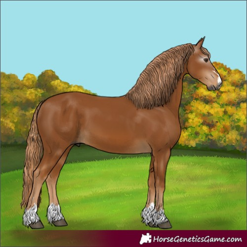 Horse Color:Gray Chestnut