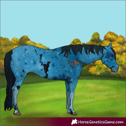 Horse Color:ERROR: UNKNOWN ANOMALY