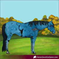 Horse Color:ERROR: UNKNOWN ANOMALY
