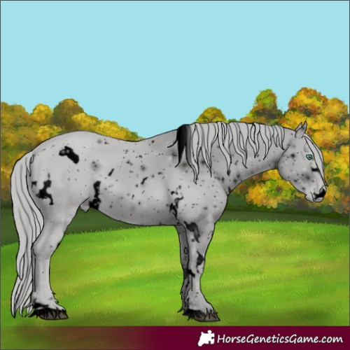 Horse Color:ERROR: UNKNOWN ANOMALY