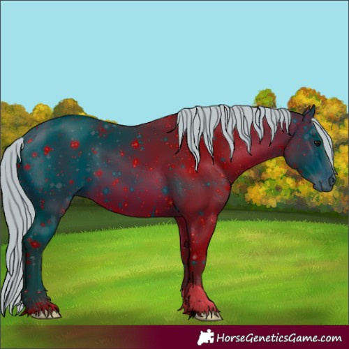 Horse Color:ERROR: UNKNOWN ANOMALY