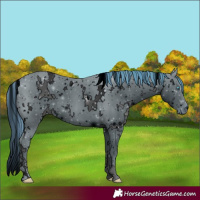 Horse Color:ERROR: UNKNOWN ANOMALY