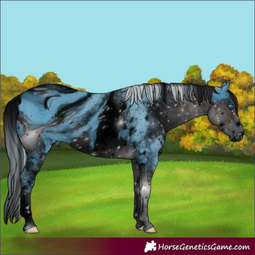 Horse Color:ERROR: UNKNOWN ANOMALY