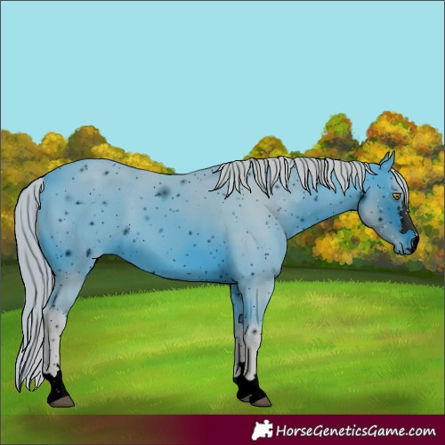 Horse Color:ERROR: UNKNOWN ANOMALY