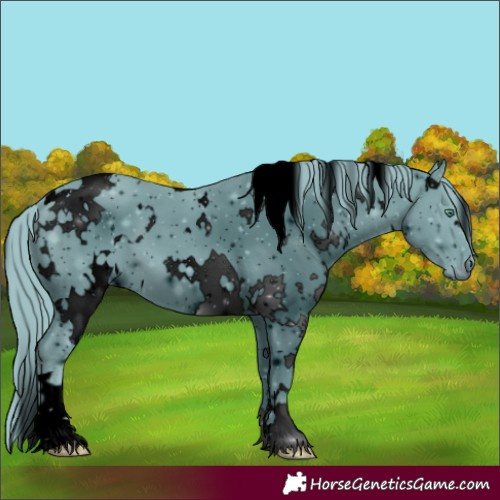 Horse Color:ERROR: UNKNOWN ANOMALY