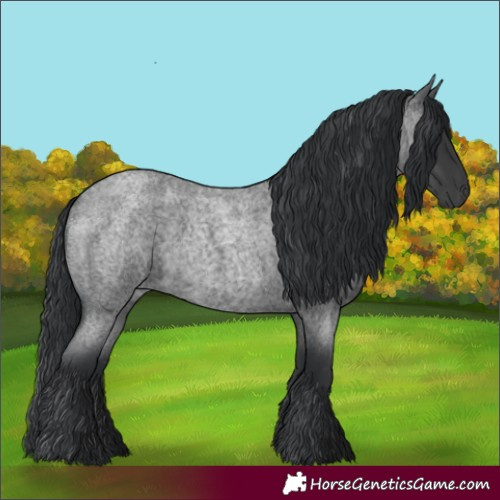 Horse Color:Blue Roan Rabicano 