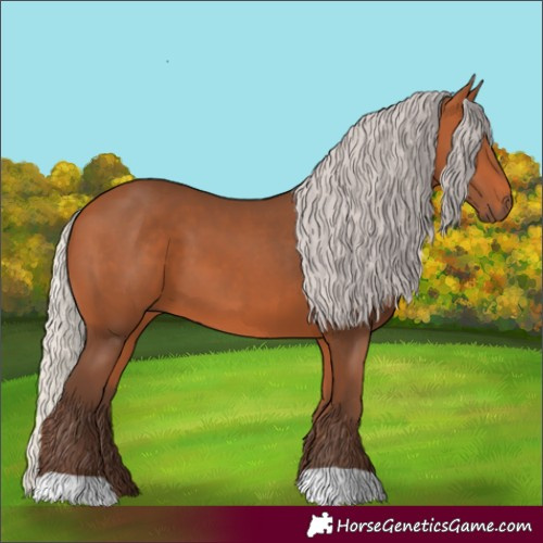 Horse Color:Silver Bay 