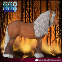 Horse Color:Silver Bay 