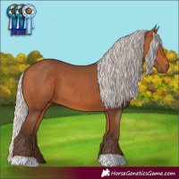 Horse Color:Silver Bay 