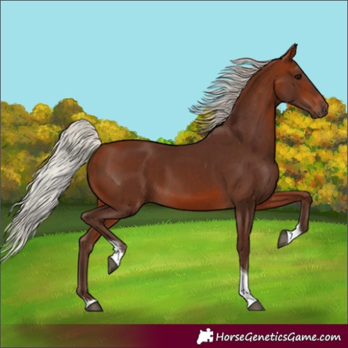 Horse Color:Silver Bay Tobiano 