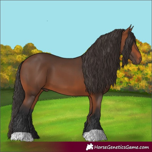Horse Color:Unknown 