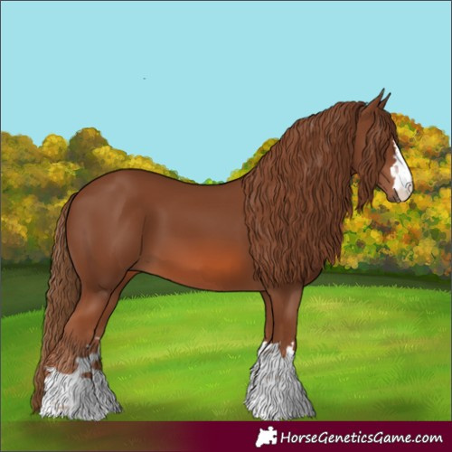 Horse Color:Chestnut 