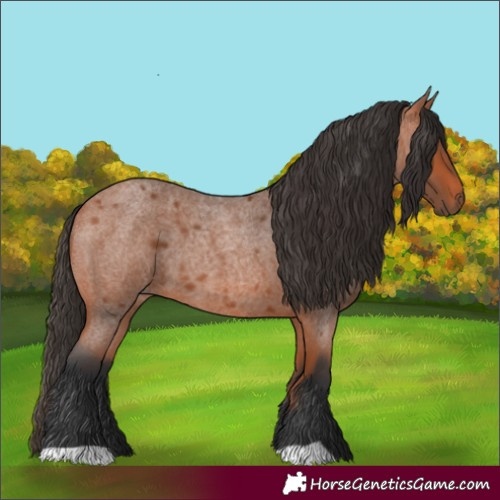 Horse Color:Unknown 
