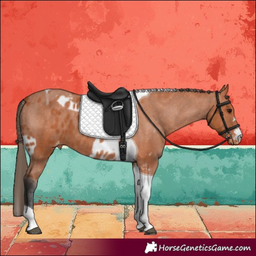 Horse Color:Bay Tobiano Skewed LP Spotted