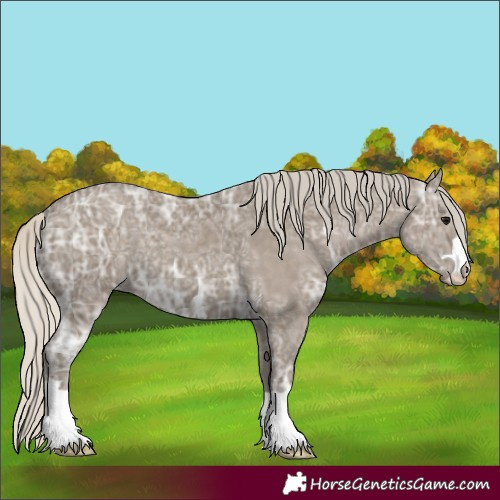 Horse Color:Silver Smoky Grullo Ice 