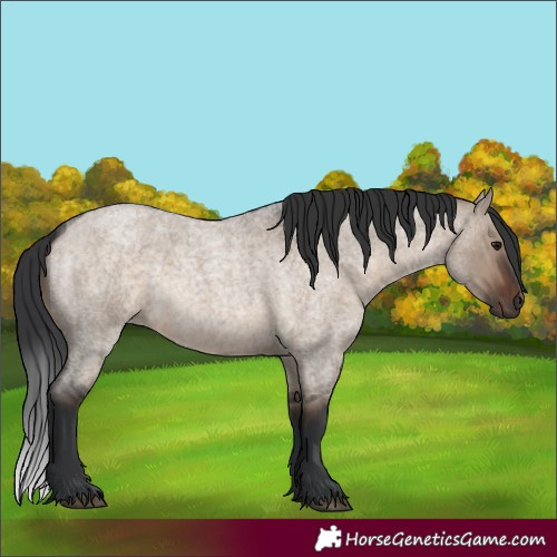 Horse Color:Brown Roan Dun