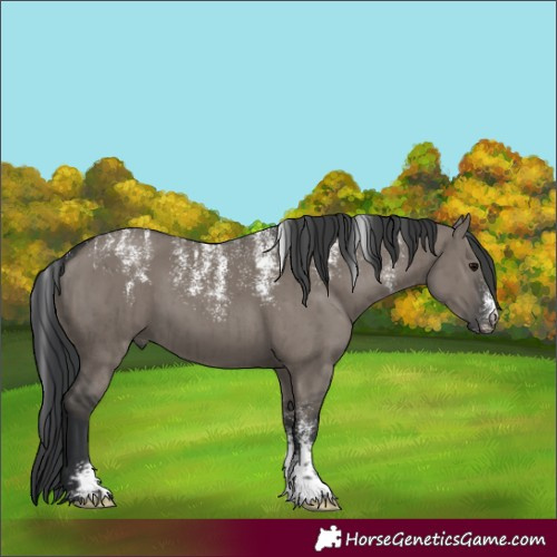 Horse Color:Powder White Grullo Brindle 