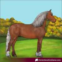 Horse Color:Silver Bay