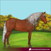 Horse Color:Silver Bay
